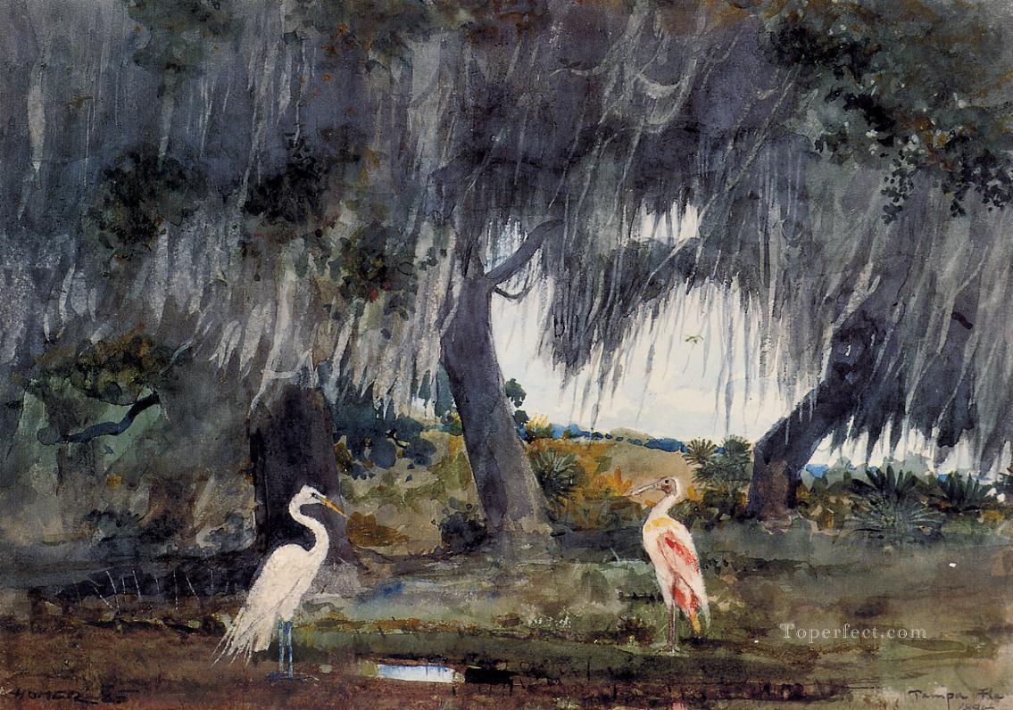 marine Realismus Maler Winslow Homer Vogel in Tampa Ölgemälde